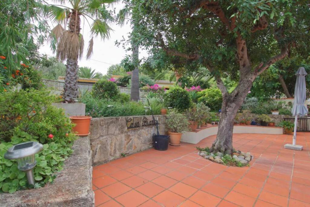Villa Agradable casa con piscina privada y jardín Dénia Exterior foto